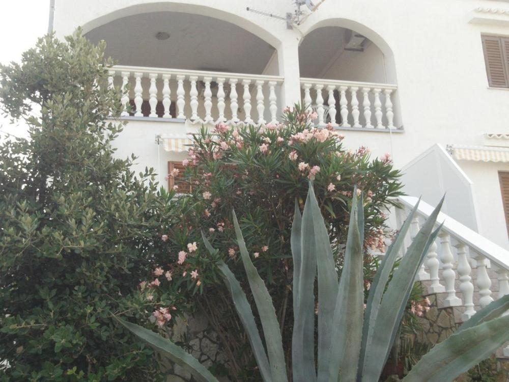 Apartment In Kustici With Balcony, Wifi, Washing Machine Kültér fotó